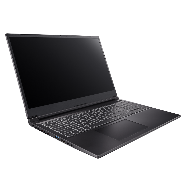 Clevo NP50DB - Portable CAO graphisme 3D jeux sans windows ou avec Linux - SANTIANNE
